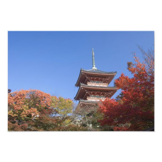 日本の京都、秋の色の塔 フォトプリント            (正面)
