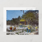 日本の公園ヴィンテージハンドティンテッド ポストカード (正面/裏面)