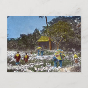 日本の公園ヴィンテージハンドティンテッド ポストカード