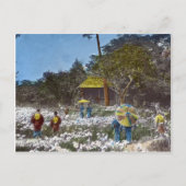 日本の公園ヴィンテージハンドティンテッド ポストカード (正面)