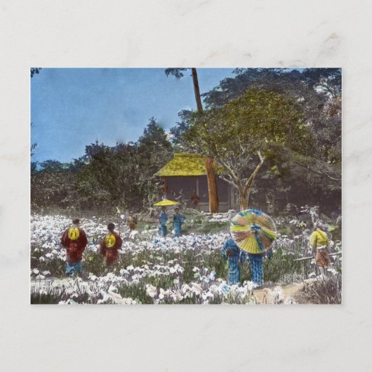 日本の公園ヴィンテージハンドティンテッド ポストカード (正面)