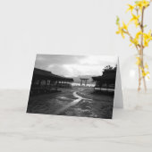 日本の写真 カード (黄色い花)