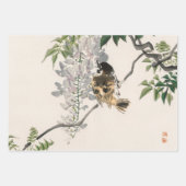 日本の小鳥の出土用ラップシート ラッピングペーパーシート (正面)