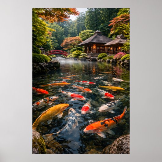 日本の庭園と鯉の池 - フォトグラフィックイメージ ポスター (正面)