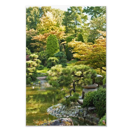 日本の庭園の写真プリント フォトプリント            (正面)