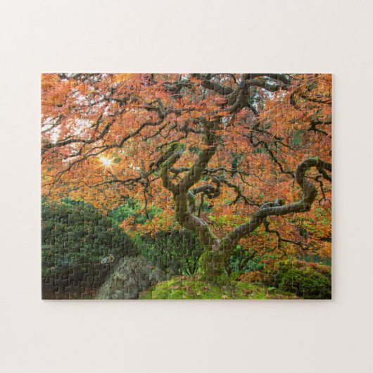 日本の庭園の紅葉したもみじの木 ジグソーパズル (横)