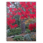 日本の庭園の紅葉 ノートブック (正面)