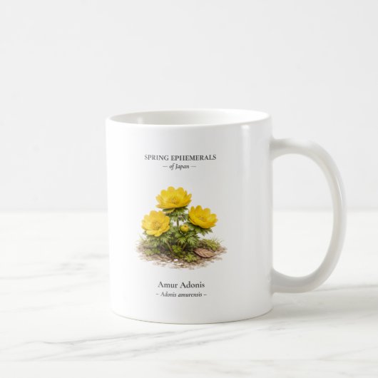 日本の春の短命植物 – アムールアドニス コーヒーマグカップ (右)