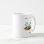 日本の春の短命植物 – エゾキケマン コーヒーマグカップ (正面右)