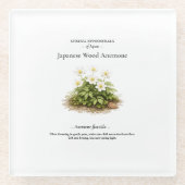 日本の春の短命植物 – シュウメイギク ガラスコースター (正面)