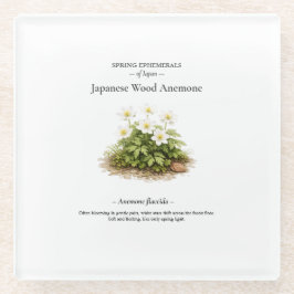 日本の春の短命植物 – シュウメイギク ガラスコースター