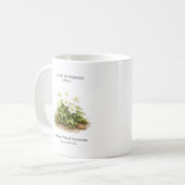 日本の春の短命植物 – シュウメイギク コーヒーマグカップ (正面左)