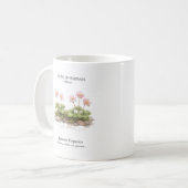 日本の春の短命植物 – ミスミソウ コーヒーマグカップ (正面左)