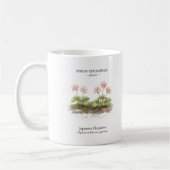 日本の春の短命植物 – ミスミソウ コーヒーマグカップ (左)