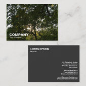 日本の木03 名刺 (正面/裏面)