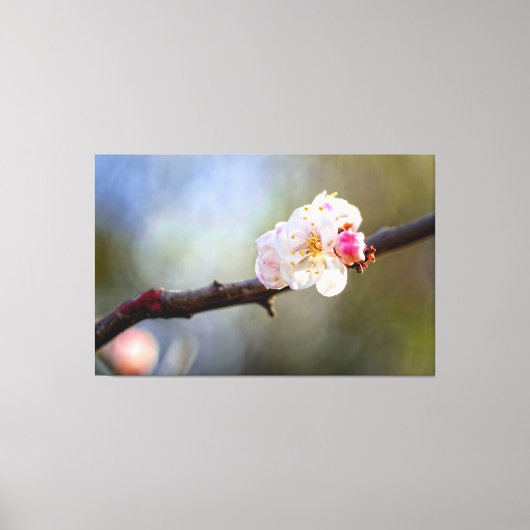 日本の桜の花のミニマリズムアート キャンバスプリント (正面)