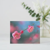 日本の梅4 ポストカード (スタンド正面)