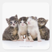 日本の猫 スクエアシール (正面)