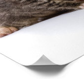 日本の猫 ポスター (角)