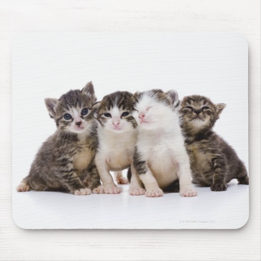 日本の猫 マウスパッド (正面)