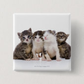 日本の猫 缶バッジ (正面)