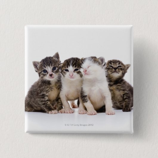 日本の猫 缶バッジ (正面)