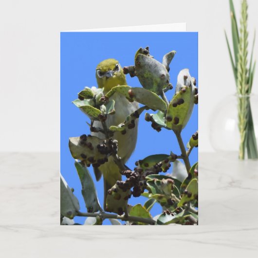 日本の私を見る白目 カード (正面)