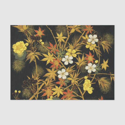 日本の紅葉 アンティーク植物画 薄葉紙 (正面)