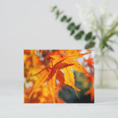 日本の紅葉 ポストカード (スタンド正面)