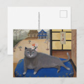 日本の絵を描猫 ポストカード (正面/裏面)