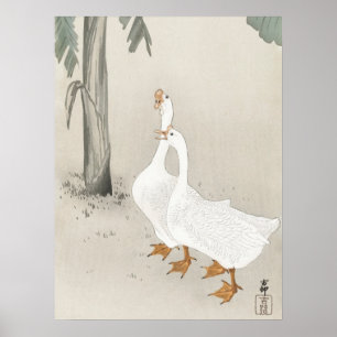 日本の絵画by小原小村， 小原古邨の日本画 ポスター