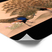 日本の絵画c1781ピーコック ポスター (角)