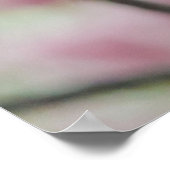 日本の美しい、フローラピンクさくらんぼの花 ポスター (角)