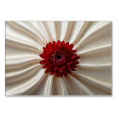 日本の色がついた特別なトランプ テーブルナンバー (裏面)