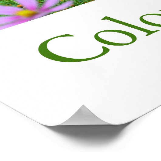 日本の色（緑） ポスター (角)