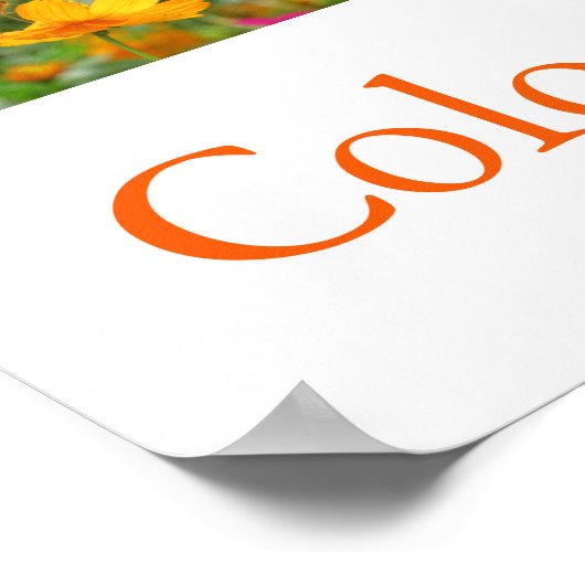 日本の色（黄・橙） ポスター (角)