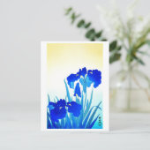 日本の芸 ポストカード (スタンド正面)