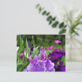 日本の虹彩 ポストカード (スタンド正面)