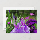 日本の虹彩 ポストカード (正面/裏面)