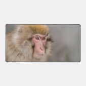 日本の野生動物：茶色の雪猿 デスクマット (正面)