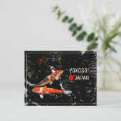 日本の錦鯉（にしきごい） ポストクロッシング ポストカード (スタンド正面)