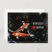 日本の錦鯉（にしきごい） ポストクロッシング ポストカード (正面/裏面)