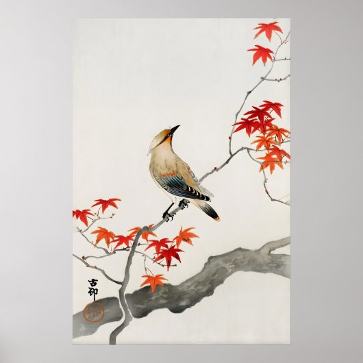 日本の鳥の壁画 紅い楓の植物学 ポスター (正面)