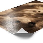 日本のSpitz / American Eskimo poster フォトプリント (角)