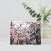 日本はがき桜 – 東京さくらんぼブロッサム ポストカード (スタンド正面)