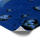 日本コイ鯉ポスター ポスター (角)