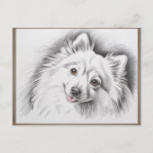 日本スピッツ犬種スケッチイラスト ポストカード (正面)