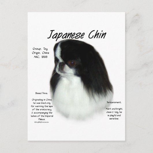 日本チャンスの歴史デザイン ポストカード (正面)