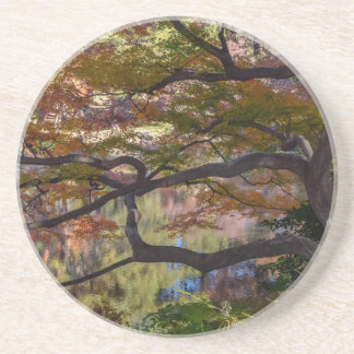 日本パークコースター コースター