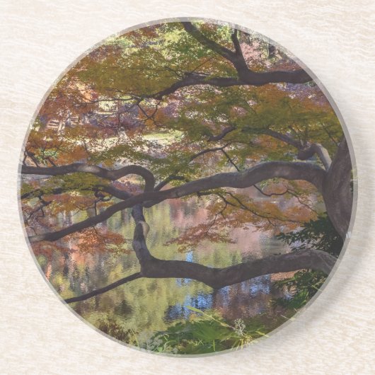 日本パークコースター コースター (正面)